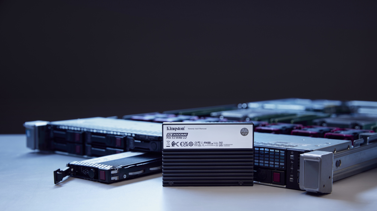 An der Spitze dieser Entwicklung stehen Lösungen wie die DC3000ME von Kingston Technology.